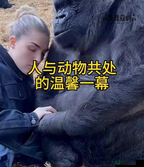 动物世界与人性的探索：深入了解欧美人与动物的特殊行为
