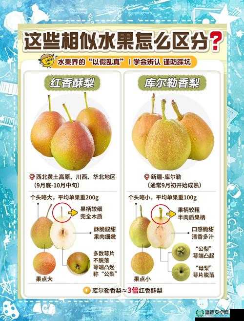 三叶草亚洲码和欧洲码区别水果：探究其差异与特点分析