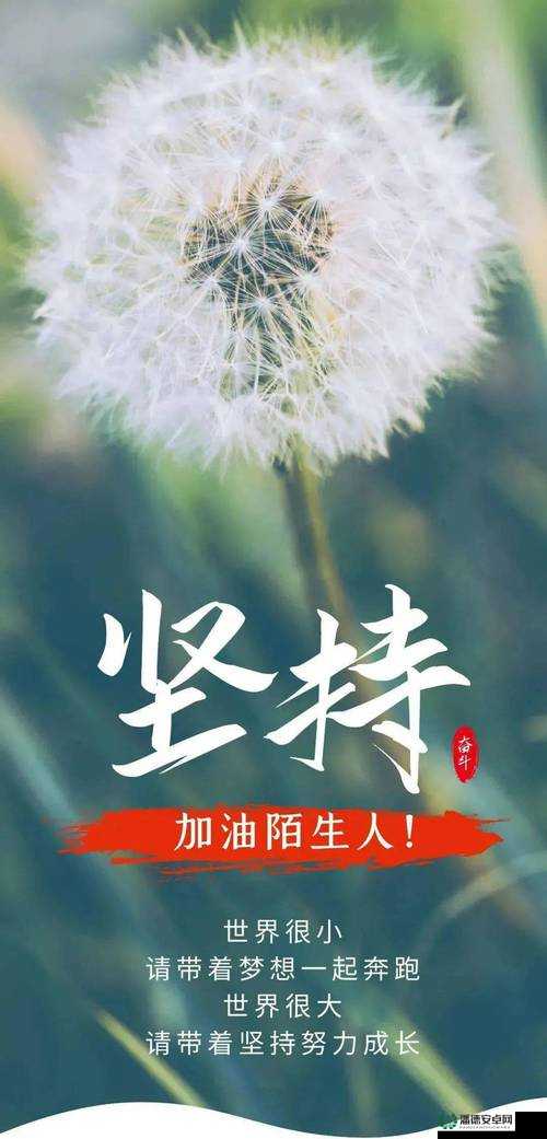 2024天天干：坚持不懈努力奋斗迎接美好未来