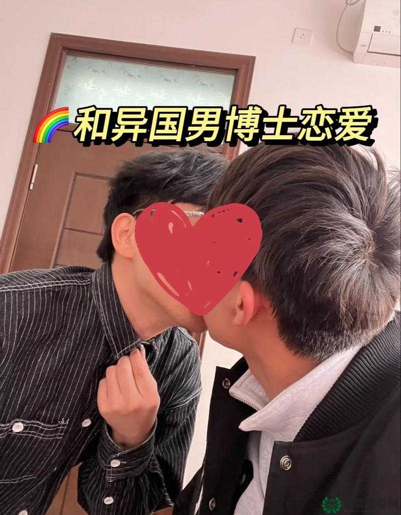 关于男同 gav 的别样视角与独特解读