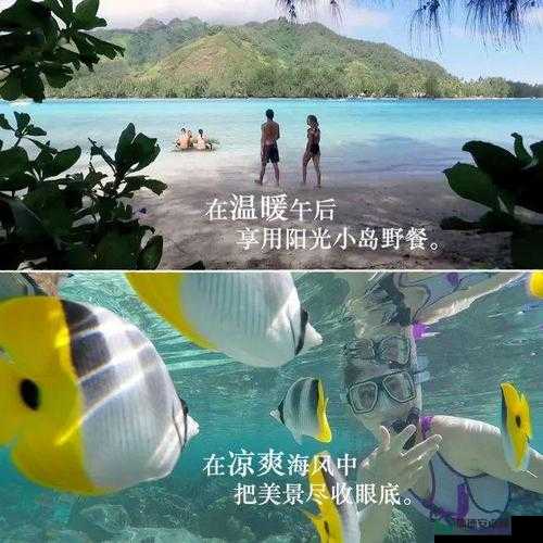 ぱらだいす天堂中文网.WWW：畅享精彩中文内容，尽在这里