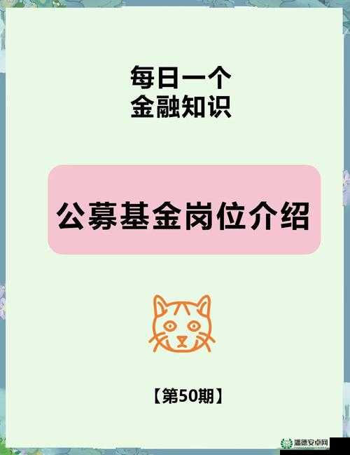 以下哪一项是基金会的组织特点之详细解析与探讨