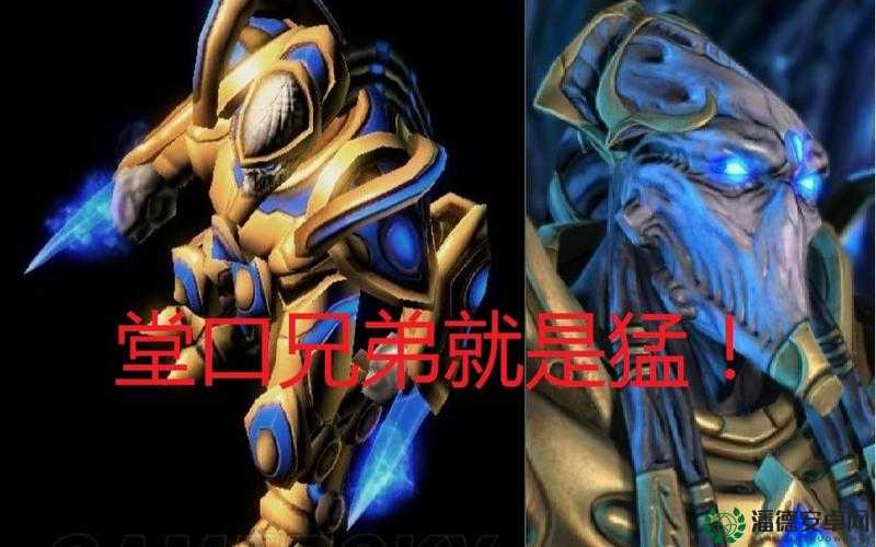 星际争霸2 PVT如何暴强打法？解锁战场全新未知姿势揭秘！