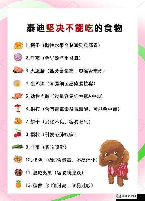 泰迪狗狗自制营养狗粮：的爱宠打造专属美味餐食