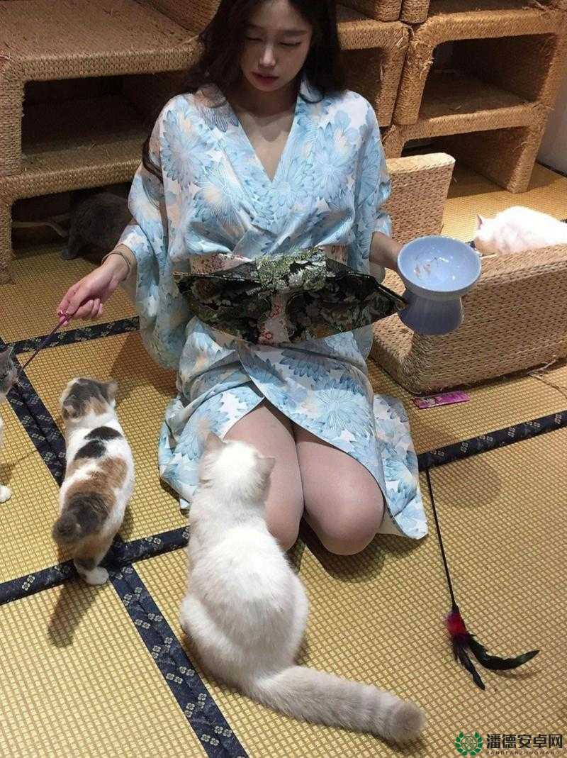 女仆：跪下，让客人玩个尽兴