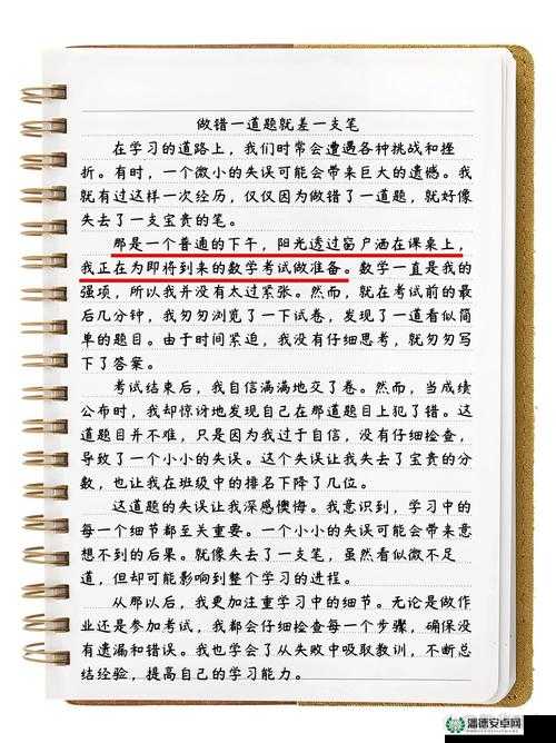 做一道题就插一支笔的奇妙记录与感悟