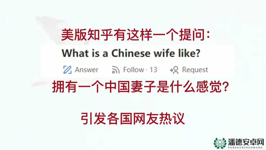 Chinese中国真实乱对白：揭秘网络热议背后的真相与争议点