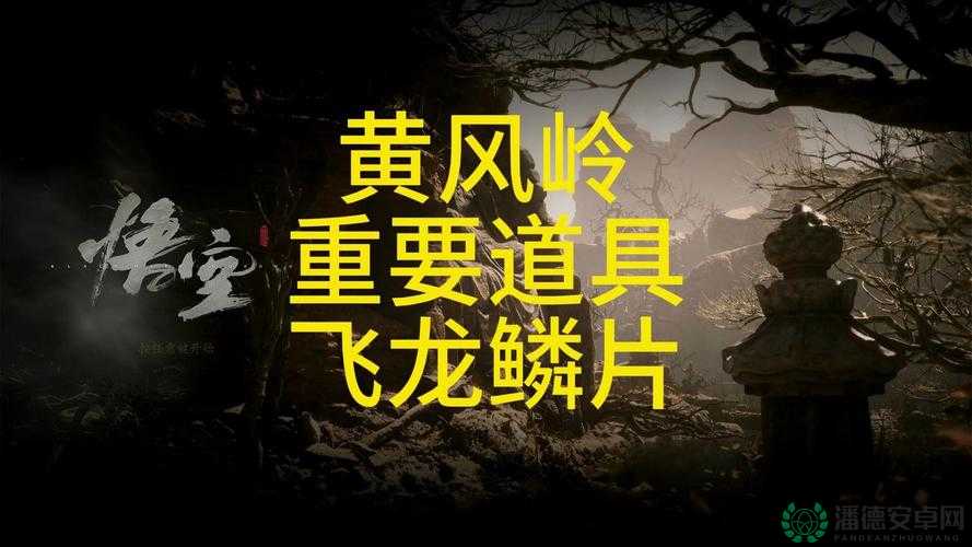 黑神话悟空飞龙鳞片获取方法如何一步步揭秘？玩家必看悬念解析！
