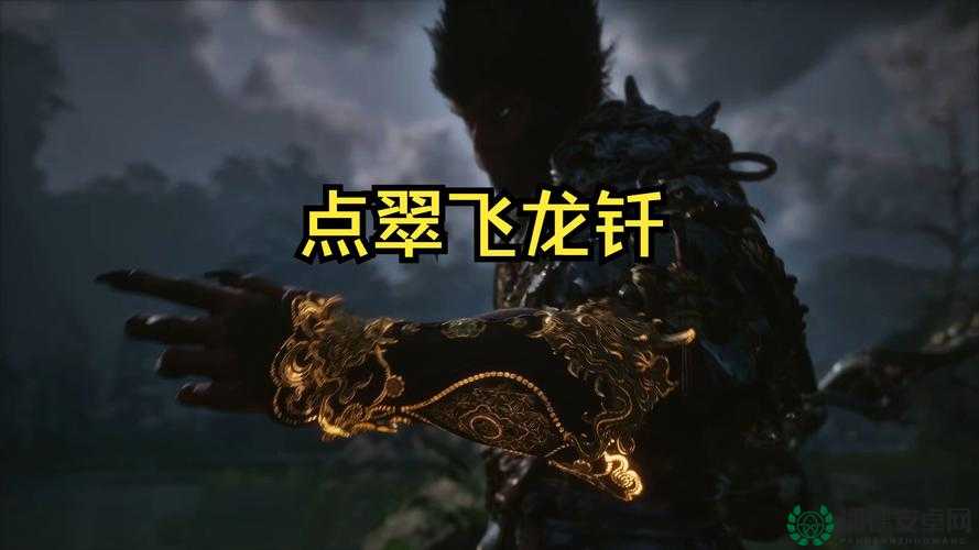黑神话悟空如何变身石头？获取变身石头的详细方法揭秘！