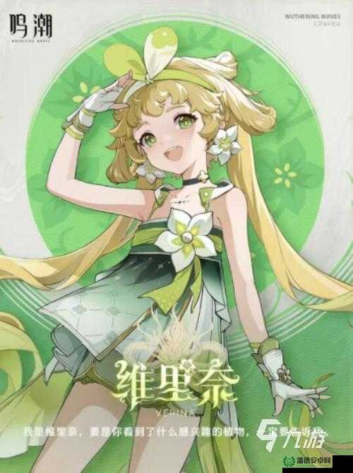 鸣潮1.2维里柰拍照任务怎么完美攻略？未来玩法会有哪些革命性变化？