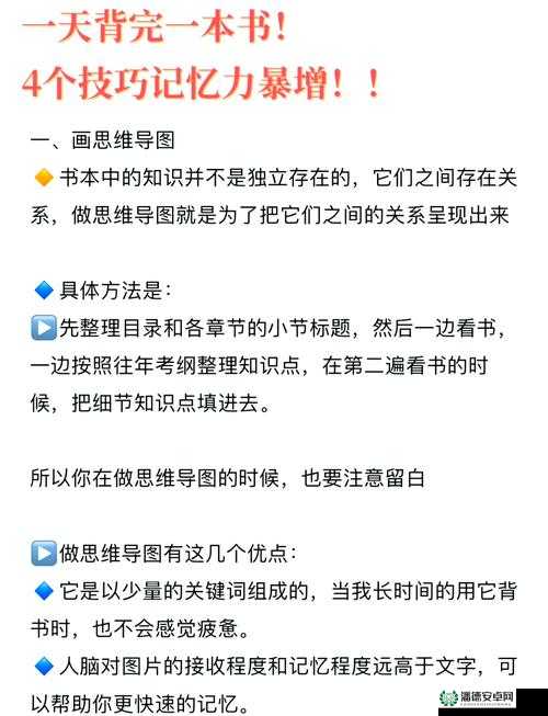 张婉莹视频暑假作业全解析：高效学习方法与实用技巧分享，助你轻松完成暑期任务