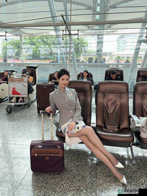 法国空姐 2024：空乘的奇幻之旅
