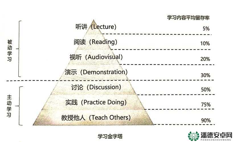 张婉莹境外网站暑假作业解析：如何高效完成并提升学习效果的实用指南