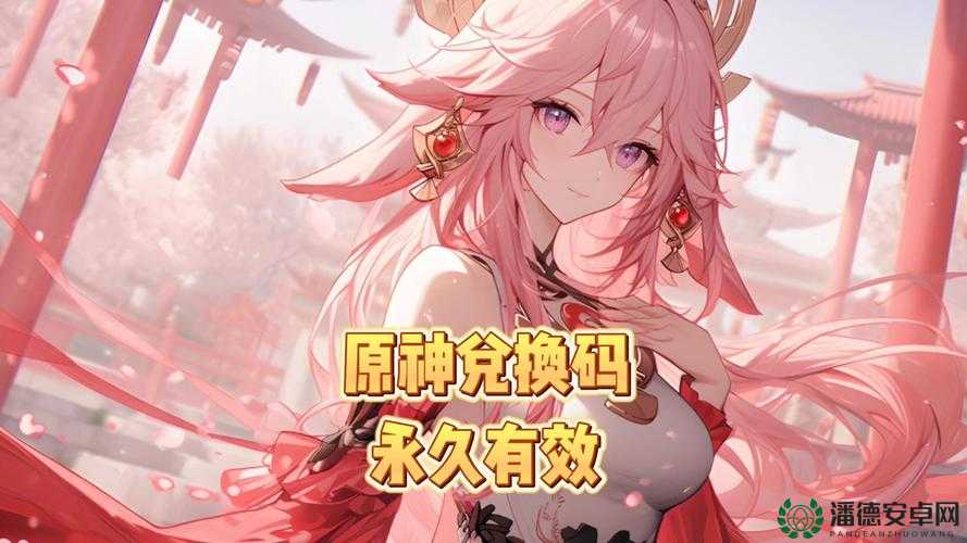原神2023年2月20日最新兑换码是什么？内含深度解析揭晓！