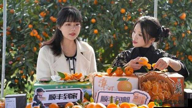 橘子直播怎么样？橘子直播有哪些精彩内容？来这里一探究竟