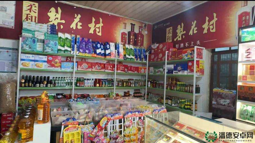 老村长突击路边店：揭秘农村小店背后的经营智慧与生存挑战