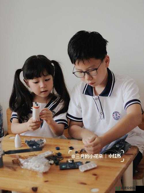 张婉莹：从雏鸟幼儿到小学生的成长故事与教育经验分享