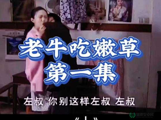 嫩草香蕉88国产在线：最新热门国产影视资源免费观看指南与推荐