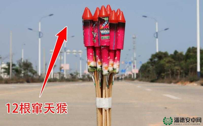 请问窜天猴网站地址有什么最新消息相关的独特呢