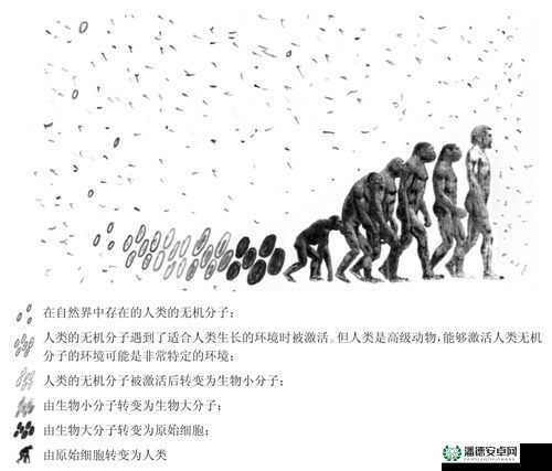 破苞XXXX出生的秘密：探索这一神秘现象的起源与影响