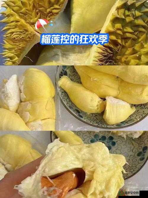 榴莲导航深夜❤福利究竟有何特别之处？探寻其背后不为人知的秘密