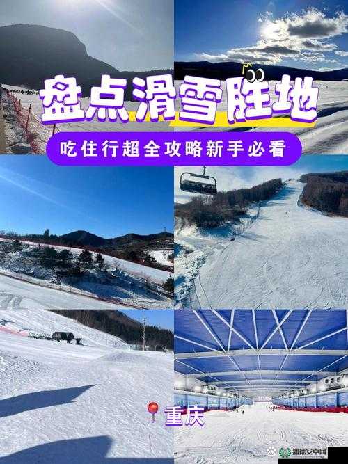 哪款画质超真实的滑雪手游最值得一试？从新手到精通全攻略在此！