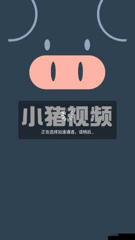 如何下载小猪视频官网 app？教你轻松获取最新版本