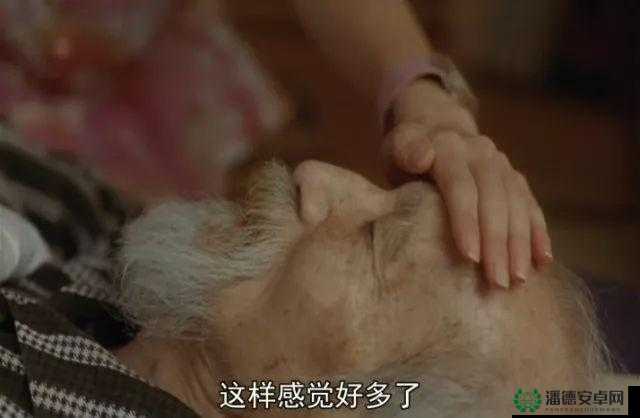 老女人重囗味456：揭秘独特生活方式的背后故事与情感体验