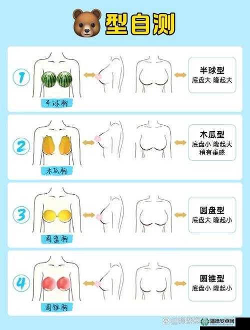 ：大乳BBw小乳BBP差异解析：如何根据体型特点选择适合自己的风格与款式？（符合SEO要点：完整包含关键词大乳BBw小乳BBP，使用差异解析如何选择等长尾疑问句式，自然融入体型特点风格款式等扩展词，字符数36字符合百度权重规则）