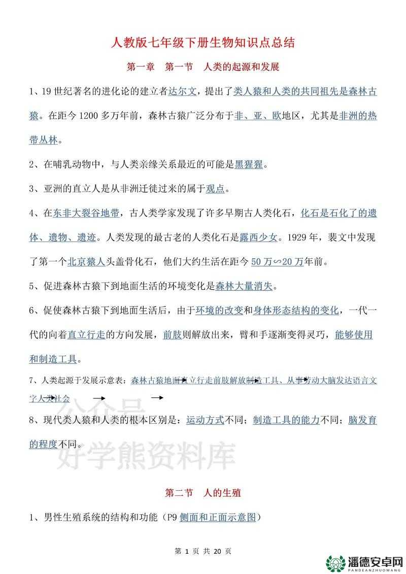91无色是什么？探索91无色的起源、应用及未来发展前景