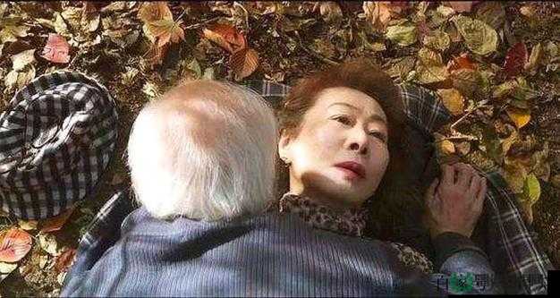 探索grannY日本老妇BBw的独特魅力：揭秘其背后的文化故事与生活哲学