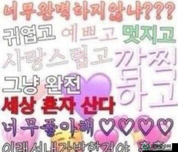 女儿的男朋友中字头韩语到底是什么意思？大家一起来探讨一下