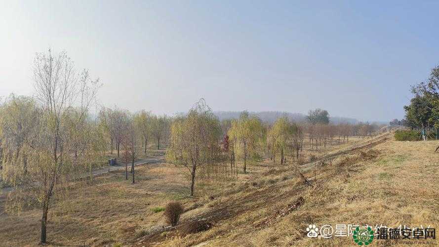 大地资源网9页究竟有何独特内容？探秘大地资源网9页的精彩之处
