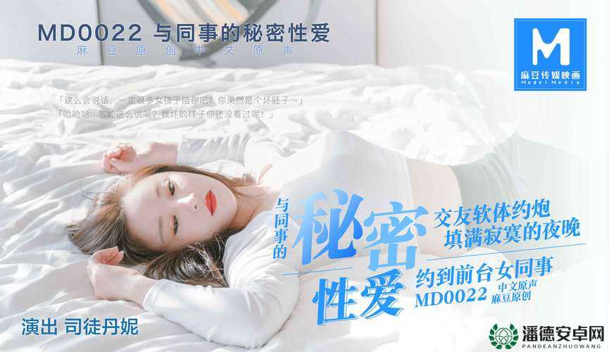 XXXⅩXXXx13 一 19HD 是什么？快来一探究竟其背后的秘密与特点