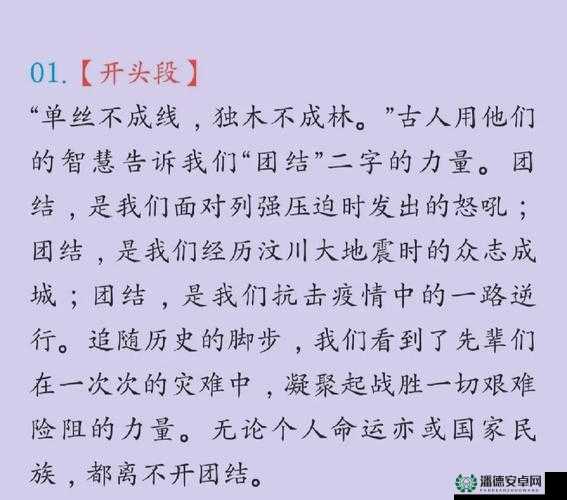 大团结闪闪发光全文免费阅读目录：探寻团结的力量与光芒