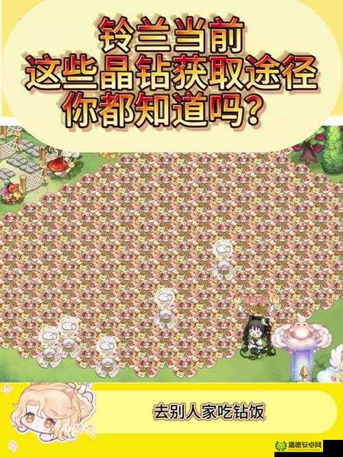 奥比岛梦想国度中熊猫阿达的信究竟隐藏在哪里？