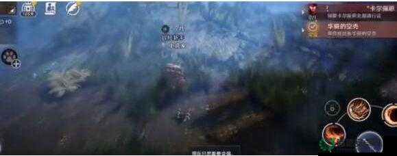 黑色沙漠手游华丽空壳任务背后，隐藏着哪些不为人知的秘密？