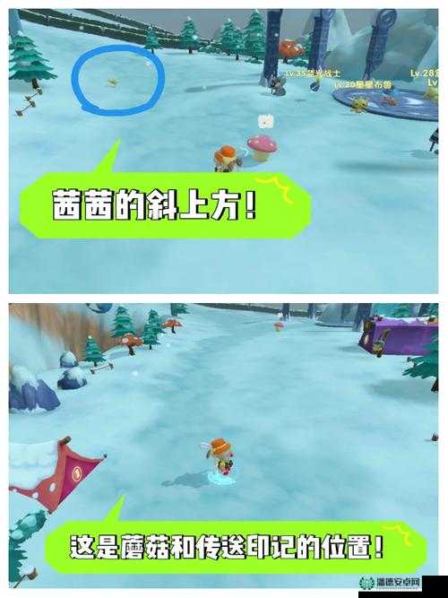 摩尔庄园手游里，如何巧妙操控风筝移动捕捉稀有风筝灯蝶？
