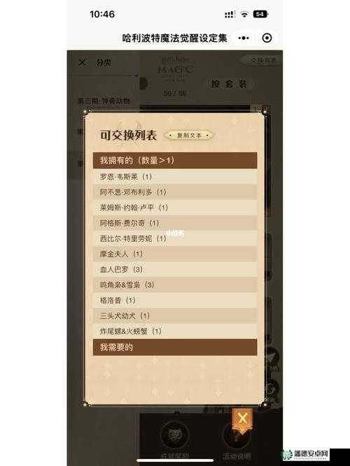 哈利波特魔法觉醒，变形课麦格彩蛋玩法全揭秘及演变历程探秘？