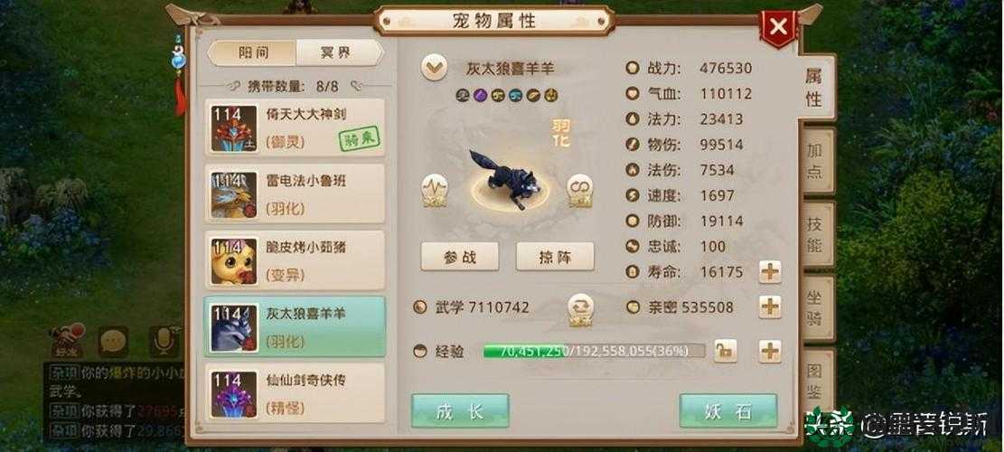 问道手游宠物各项属性究竟如何？全面解析带你揭晓悬念！