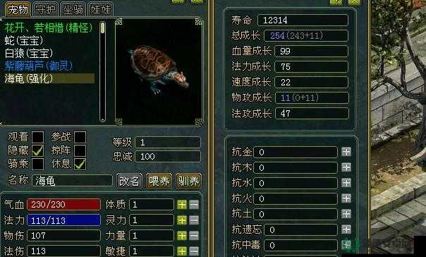问道手游中海龟宠物如何加点？揭秘海龟加点高效技巧攻略！