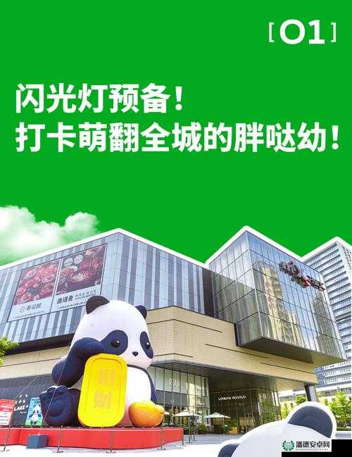 太极熊猫周岁版今日狂欢上线？万人庆生派对究竟有何惊喜？