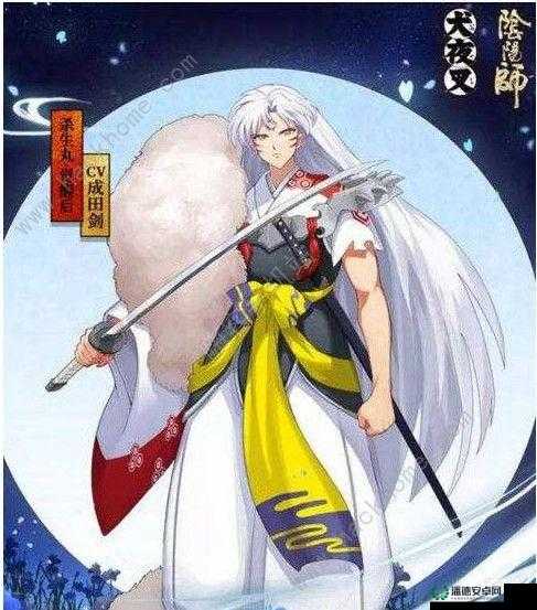 桂小五郎在冒险与挖矿中表现如何？全面解析其技能与属性