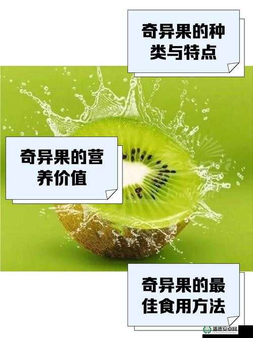 摩尔庄园手游奇异果如何快速获取？全途径盘点与隐藏技巧大揭秘